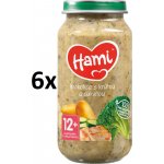Hami Brokolice s krůtou a cuketou 6 x 250 g – Zboží Dáma