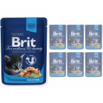Brit Premium Cat Kitten Chicken Chunks 100 g – Sleviste.cz