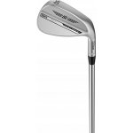 Titleist SM10 Tour Chrome wedge univerzální pravé ocel 8° 52° True Temper Dynamic Gold, S200 F-Grind – Zboží Dáma