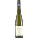 Bioweingut Schmidl Riesling Smaragd Küss den Pfennig 2023 13,5% 0,75 l (holá láhev) – Hledejceny.cz