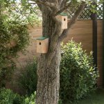 Petrashop Ptačí budky 12 x 12 x 22 cm masivní jedlové dřevo hnědé 314815 10 ks – Hledejceny.cz