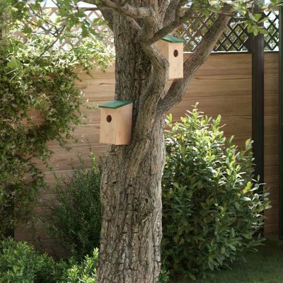 Petrashop Ptačí budky 12 x 12 x 22 cm masivní jedlové dřevo hnědé 314815 10 ks – Hledejceny.cz