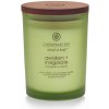 Svíčka CHESAPEAKE BAY Awaken & Invigorate 250 g