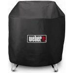 Weber 2013 – Zboží Dáma