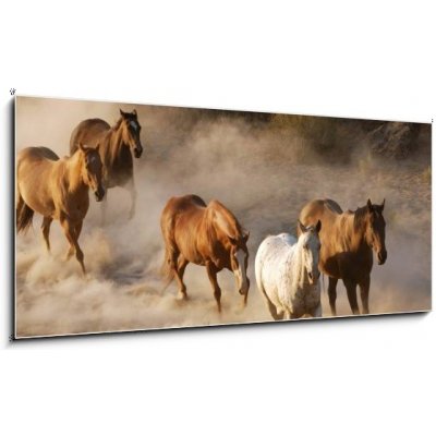 Obraz 1D panorama - 120 x 50 cm - wild horses running divoké koně běží – Zboží Mobilmania