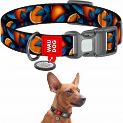 Waudog Oranges nylon dog collar with QR code