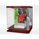 Cat-Gato Betarium Betta kit stones 2 l – Zboží Dáma