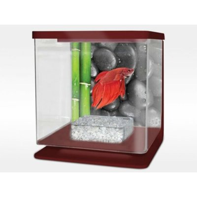 Cat-Gato Betarium Betta kit stones 2 l – Zboží Dáma