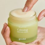 Goodal Houttuynia Cordata Calming Moisture Cream 75 ml – Sleviste.cz