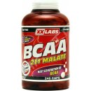 Aminokyselina XXtreme BCAA Malate 211 240 kapslí