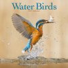 Kalendář Waterbirds Square Birds Wall 16 Month 2024