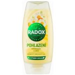 Radox Pohlazení sprchový gel 225 ml – Hledejceny.cz