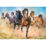 Trefl Cválající koně 2000 dílků – Zboží Mobilmania