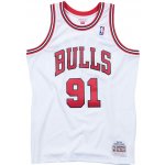 Mitchell & Ness NBA Swingman Jersey Chicago Bulls - Dennis Rodman #91 – Sleviste.cz