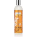 Kondicionér a balzám na vlasy Natura Siberica Natura Estonica Power-C Conditioner 400 ml