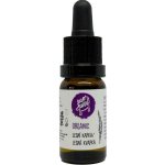 Ecopets sérum proti blechám a klíšťatům 10 ml – Zboží Dáma