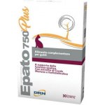 Epato Plus 750 mg proti stresu a poruchám jater pro kočky 30 tablet – Hledejceny.cz