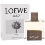 LOEWE Solo Loewe Cedro toaletní voda pánská 100 ml – Hledejceny.cz