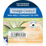 Yankee Candle vosk do aromalampy Sage & Citrus 22 g – Zboží Mobilmania