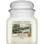 Yankee Candle Twinkling Lights 411 g – Hledejceny.cz