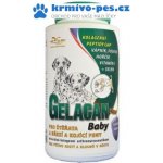 Orling Gelacan Plus Baby 1000 g – Hledejceny.cz