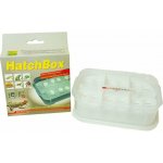 Lucky Reptile HatchBox 17 x 11 cm – Zbozi.Blesk.cz