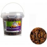 UGF sušený bourec morušový 150g – Hledejceny.cz