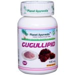 Planet Ayurveda GUGULLIPID 60 kapslí – Hledejceny.cz