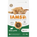 Iams Cat Adult All Breeds Lamb 3 kg – Hledejceny.cz