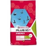 Versele-Laga Plus I.C.+ Energy 18 kg – Sleviste.cz