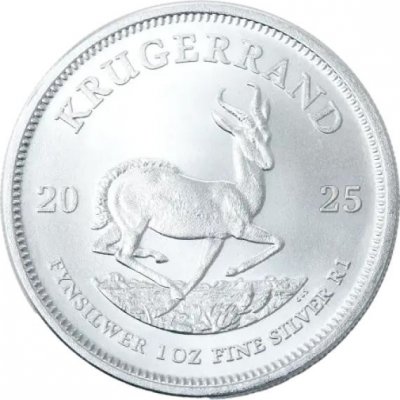 South African Mint Krugerrand Südafrika 1 Zo 1 Oz – Hledejceny.cz