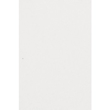 Amscan Papírový ubrus bílý 137x274 cm