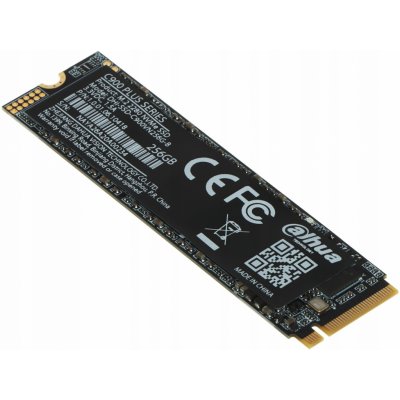 Dahua 256GB, SSD-C900VN256G-B – Zboží Živě