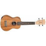 Tanglewood TWT 1 – Zbozi.Blesk.cz