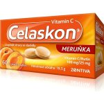Celaskon Meruňka 100 mg 60 tablet – Hledejceny.cz