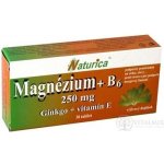 Naturica Magnezium + B6 + Ginkgo + vit.E 30 tablet – Hledejceny.cz