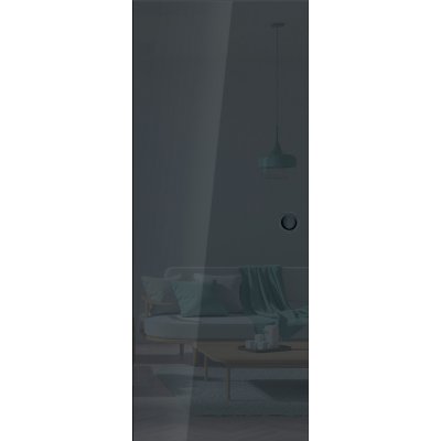 ERKADO Posuvné skleněné dveře do pouzdra Graf 26 Dark Grey 60 x 197 cm – Zboží Mobilmania