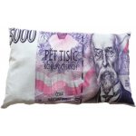 Numbero plus Polštář bankovka 5000 Kč 35x60 – Zboží Mobilmania