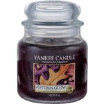 Yankee Candle Autumn Glow 411 g – Hledejceny.cz