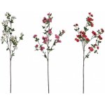 Nohel Garden Květina KAMÉLIE KVĚT 105cm – Hledejceny.cz