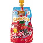 Ovocňák Mošt jablko lesní ovoce 250 ml – Zboží Dáma