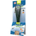 Tetra Hairgrass M 24 cm – Hledejceny.cz