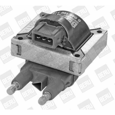 Zapalovací cívka BorgWarner (BERU) ZS319 – Hledejceny.cz