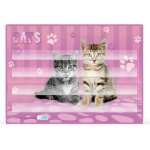 Podložka na sestavování slov Kočka – Zboží Dáma