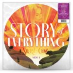 Sheryl Crow - Story Of Everything - picture Disc LP – Zboží Mobilmania