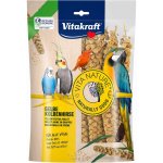 Vitakraft Vita Nature Senegalské proso žluté klas 0,3 kg – Zboží Mobilmania