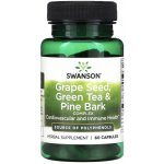 Swanson Grape Seed Green Tea & Pine Bark 60 kapslí – Hledejceny.cz