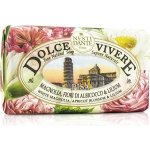 Nesti Dante Dolce Vivere mýdlo Pisa 250 g – Hledejceny.cz