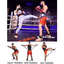 Sedco Tréninkový odporový systém Fitness/Box/MMA