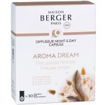 Maison Berger Paris náplň do difuzéru Night & Day Aroma Dream Jemná ambra 1 ks – Zboží Mobilmania